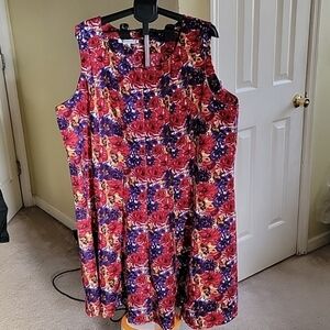 Plus size 32 roamans dress